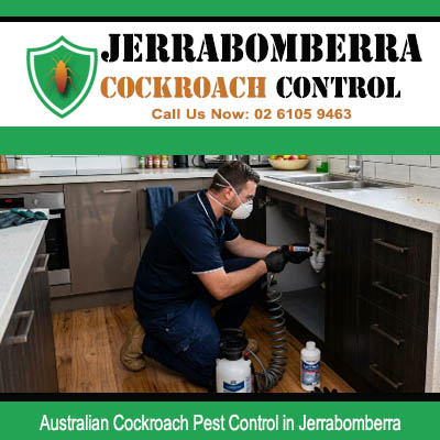 Professional pest technician spraying pressurised canister under kitchen sink for Australian cockroach control in Jerrabomberra NSW property