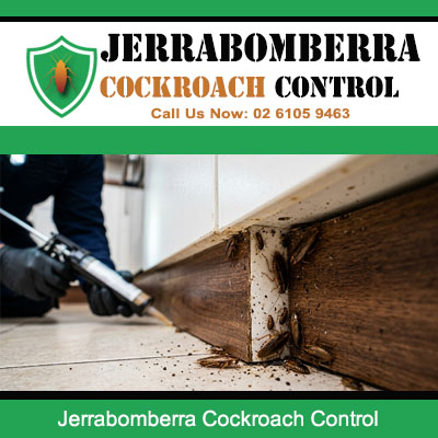 Licensed pest technician applying gel bait treatment to cockroach infestation on damaged timber skirting board and tiled floor in Jerrabomberra