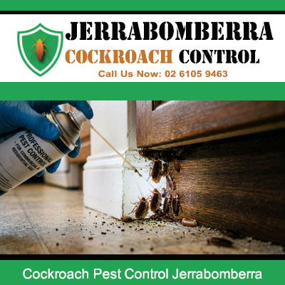 Technician using aerosol spray can to treat severe cockroach colony on deteriorated timber door frame base and tiled floor in Jerrabomberra NSW Australia